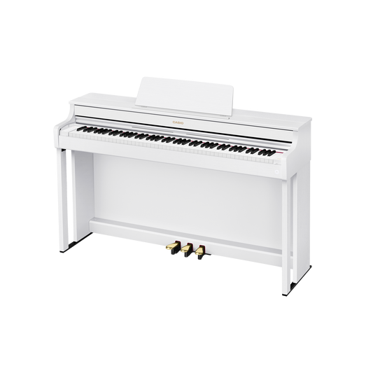 AP-300WE Bhawar Sales Corporation