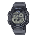 AE-1000W-8AV