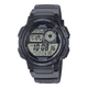 AE-1000W-8AV