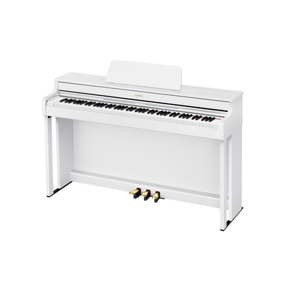 AP-300WE Bhawar Sales Corporation