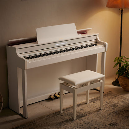 AP-550WE Bhawar Sales Corporation