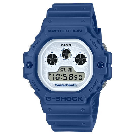 DW-5900WY-2