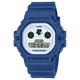 DW-5900WY-2