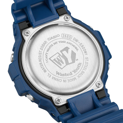 DW-5900WY-2