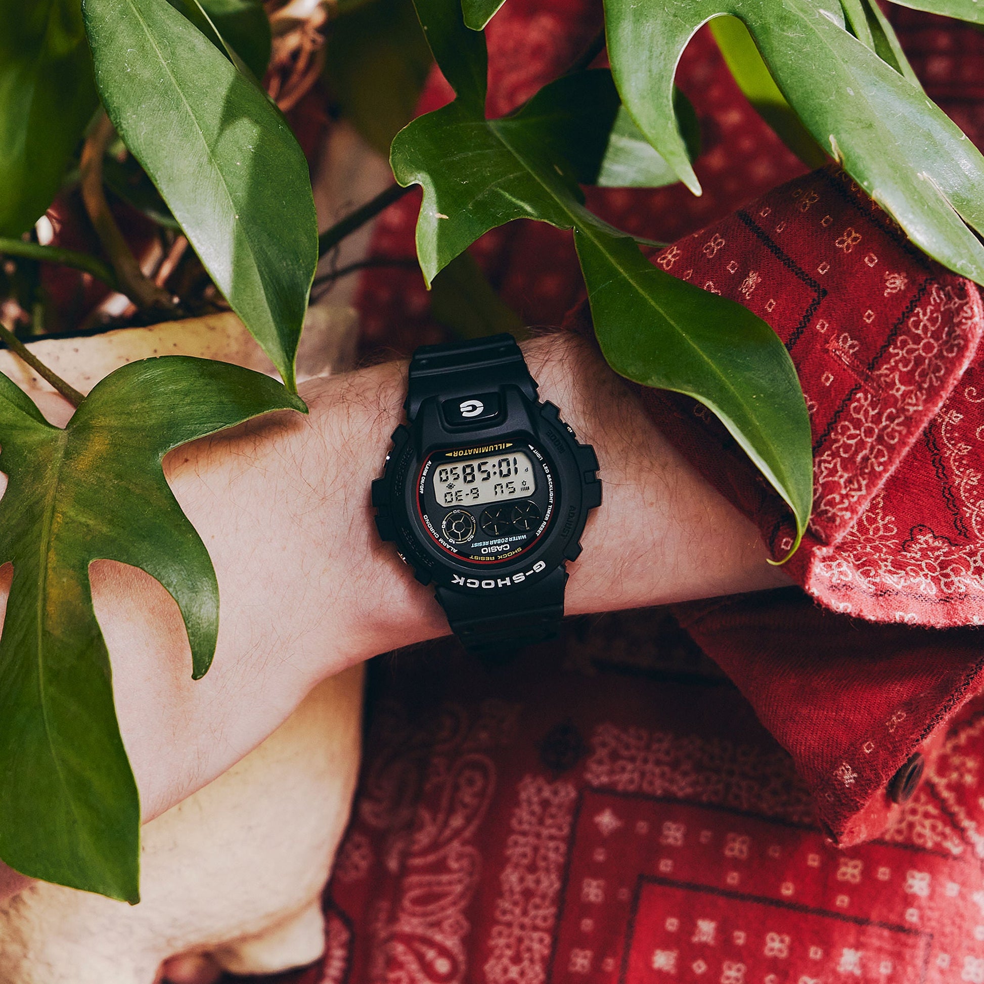 DW-6900RL-1 Bhawar Sales Corporation