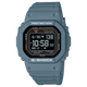 DW-H5600-2