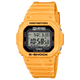 G-5600SFJ-9