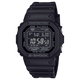 GW-5000HS-1