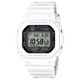 GW-5000HS-7
