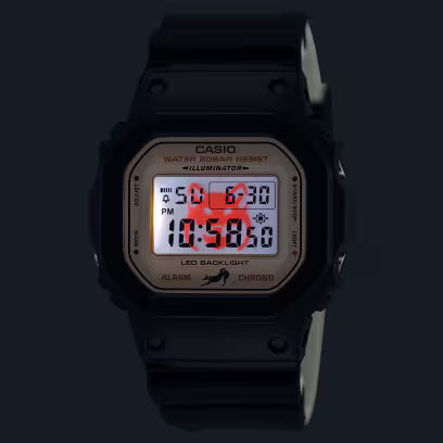 DW-5600SHB-1 casiostore.bhawar.com